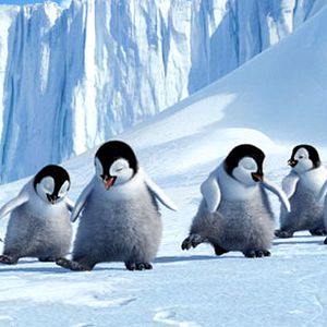 Photo Happy Feet