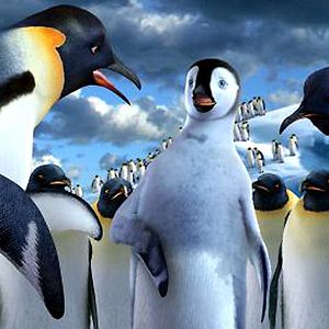 Photo Happy Feet