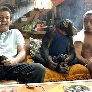 Photo Nicholaus Goossen