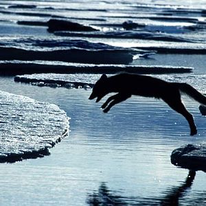 Photo Thierry Piantanida