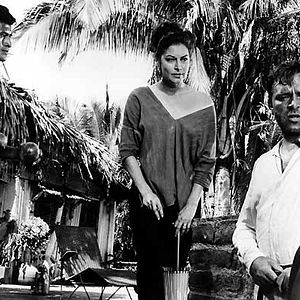 Photo Richard Burton