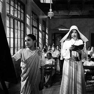 Photo Le Narcisse noir