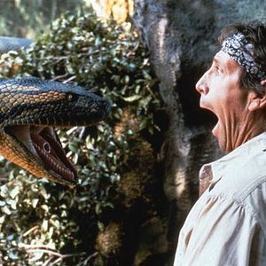 Photo Anaconda, le prédateur