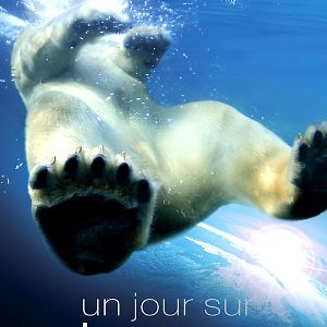 Photo Alastair Fothergill