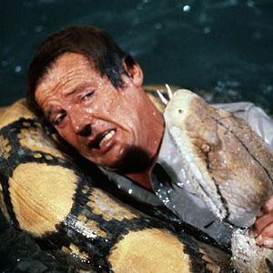 Photo Moonraker