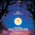 Photo Arachnophobie