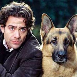 Photo Rex, chien flic