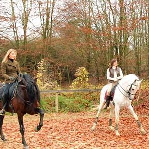 Photo Valérie Guignabodet