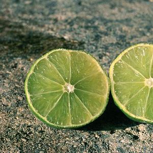 Photo Jean-Paul Fargier