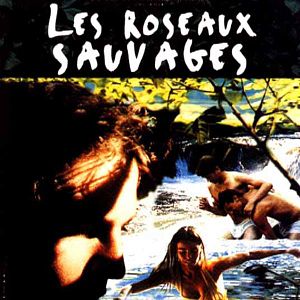 Photo Les Roseaux sauvages
