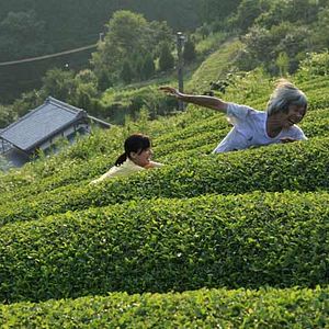 Photo Machiko Ono