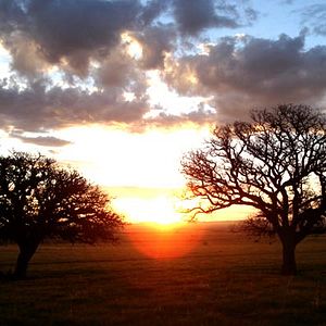 Photo Carlos Reygadas