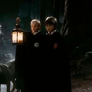 Photo Tom Felton