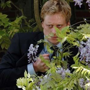 Photo Alan Tudyk