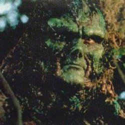 Photo Swamp Thing