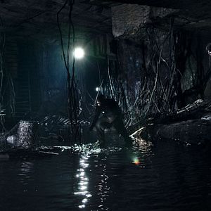 Photo Franck Vestiel