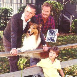 Photo Les nouvelles aventures de Lassie