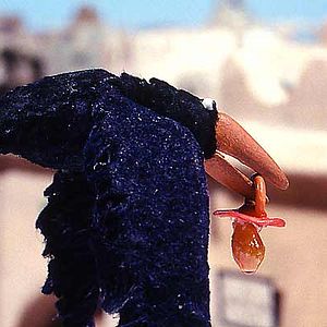 Photo Abdollah Alimorad