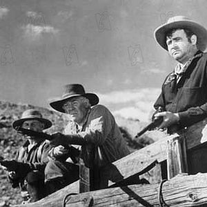 Photo Michael Curtiz