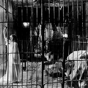 Photo Frank Capra