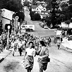 Photo Kevin McCarthy