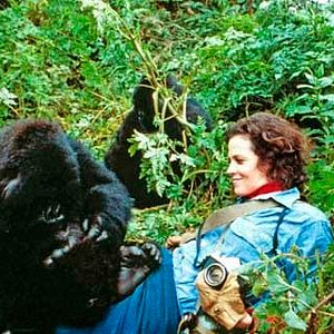 Photo Sigourney Weaver