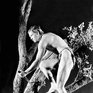 Photo Johnny Weissmuller