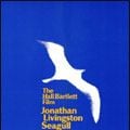 Photo Jonathan Livingston goéland