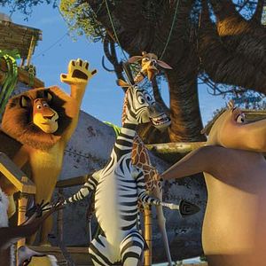 Photo Madagascar 2