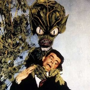 Photo Edward L. Cahn