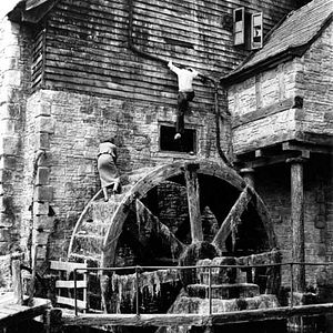 Photo Jeune et innocent