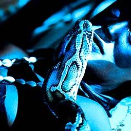 Photo Pierre Laffargue