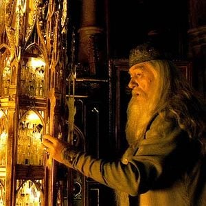 Photo Michael Gambon
