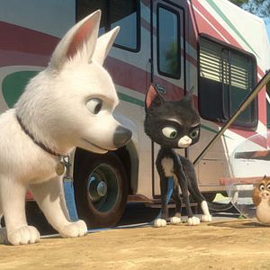 Photo Chris Williams