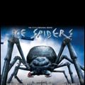 Photo Ice Spiders : araignées de glace