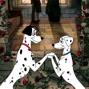 Photo Les 101 Dalmatiens