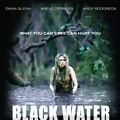 Photo Black Water