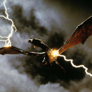 Photo Matthew Robbins