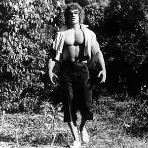Photo L'Incroyable Hulk