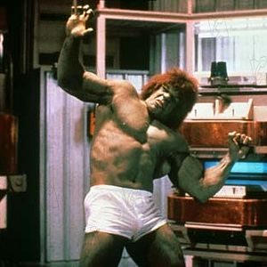 Photo L'Incroyable Hulk