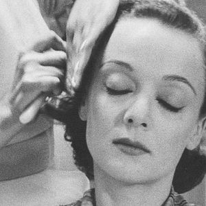 Photo L'Oeil sauvage