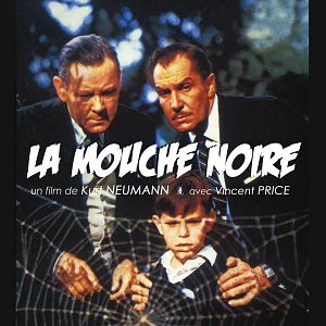 Photo La Mouche noire