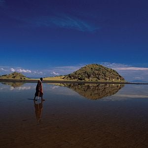 Photo Les Ailes pourpres : le mystère des flamants
