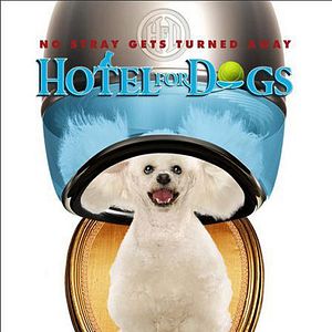 Photo Palace pour chiens