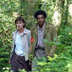 Photo Ambre a disparu