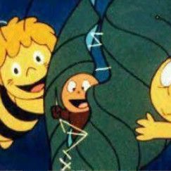 Photo Maya l'abeille