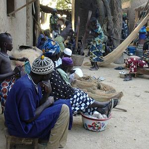 Photo Gerardo Olivares