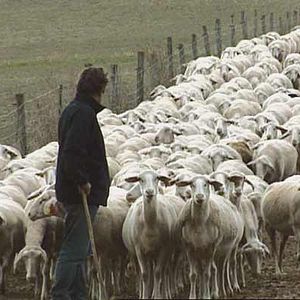 Photo Catherine Pozzo Di Borgo