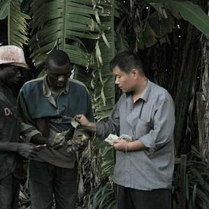 Photo Thierry Michel