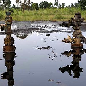 Photo Franny Armstrong